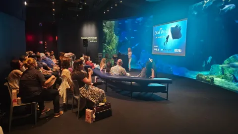 NYC Aquarium Showing
