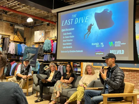 Patagonia Q&A