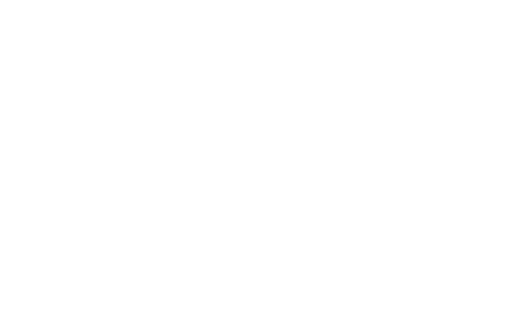 Tribeca Film Festival 2025 Best Cinematography and laurel