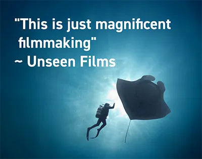 Magnificent Filmmaking