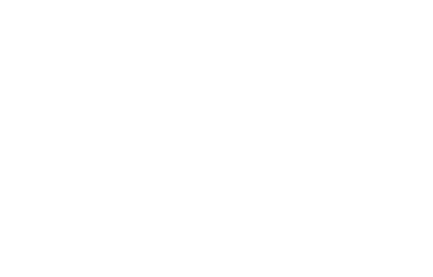 Official Selection — Tribeca Festival